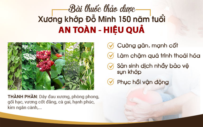 Thành phần bài thuốc Xương khớp Đỗ Minh Đường