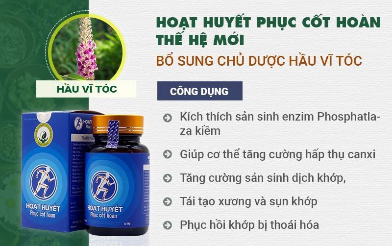 Hoạt huyết Phục cốt hoàn - Giải pháp cho bệnh xương khớp