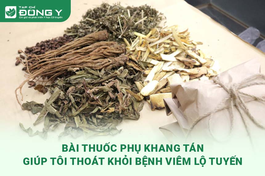 bai-thuoc-phu-khang-tan-giup-toi-thoai-khoi-benh-viem-lo-tuyen