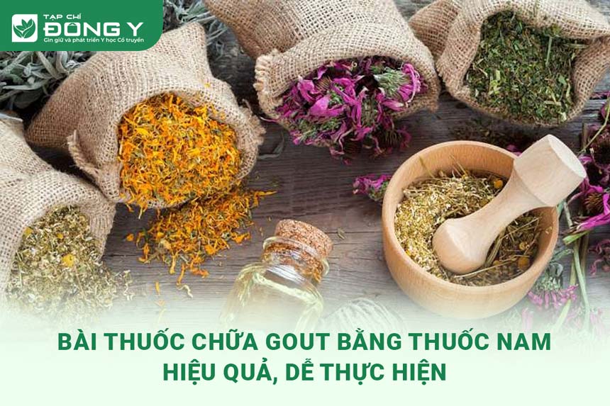 chua-gout-bang-thuoc-nam