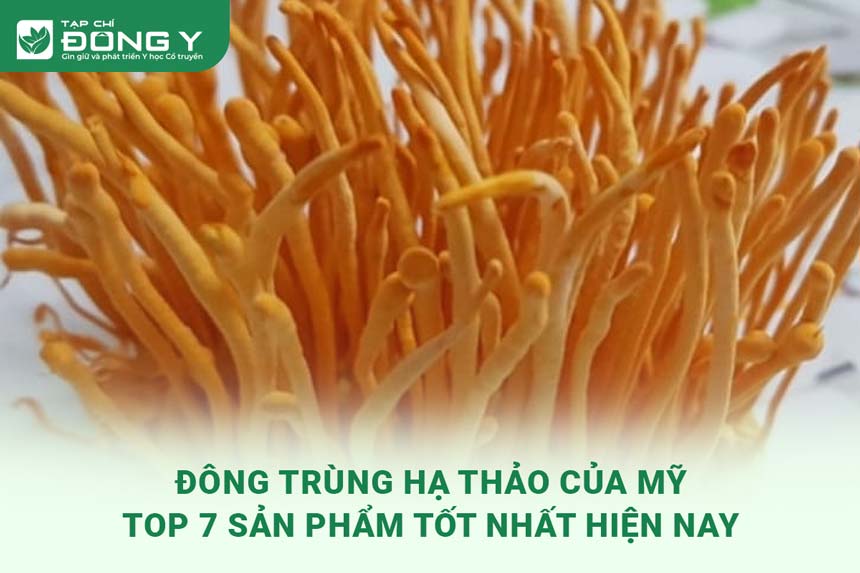 dong-trung-ha-thao-cua-my