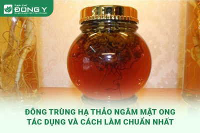 dong-trung-ha-thao-ngam-mat-ong