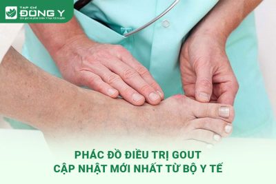 phac-do-dieu-tri-gout