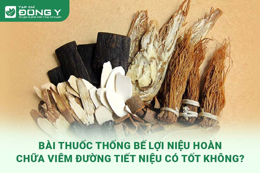 bai-thuoc-thong-loi-nieu-hoan-chua-benh-viem-duong-tiet-nieu-co-tot-khong