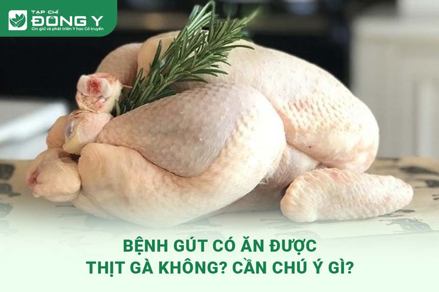 Thực phẩm thay thế và bổ sung cho người bệnh gút