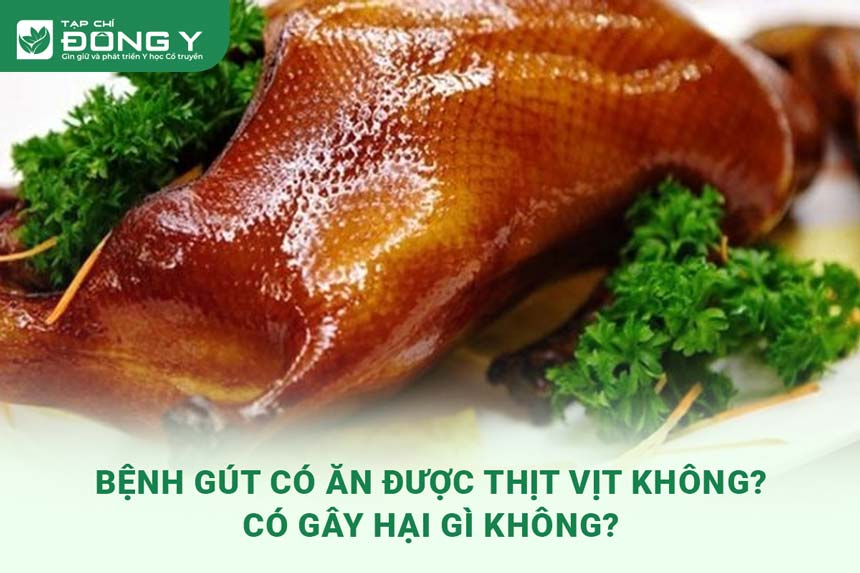 benh-gut-co-an-duoc-thit-vit-khong