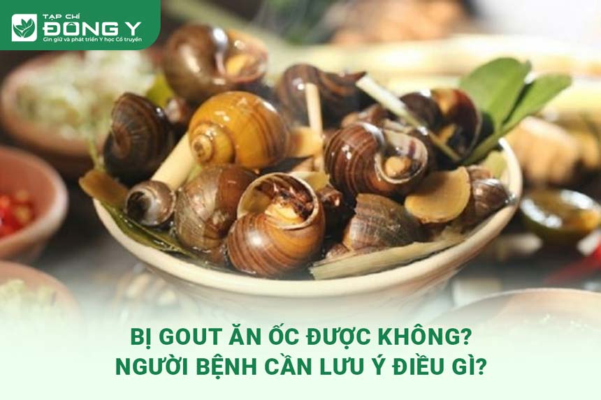 4. Cách chế biến ốc an toàn cho người bị gout