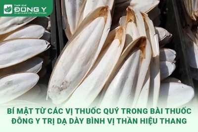 bi-mat-tu-nhung-vi-thuoc-quy-trong-bai-thuoc-dong-y-dac-tri-benh-da-day-binh-vi-than-hieu-thang