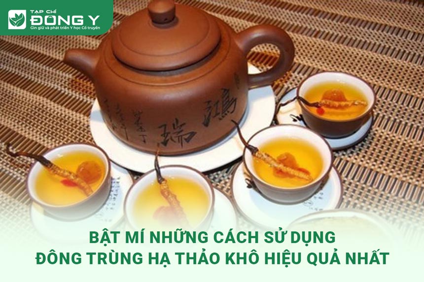 cach-su-dung-dong-trung-ha-thao-kho