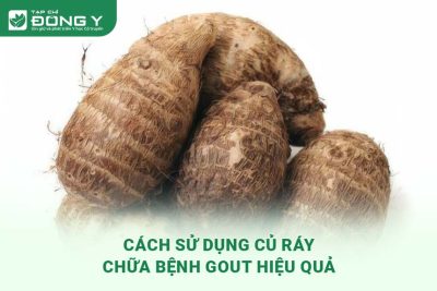 cu-ray-chua-benh-gout