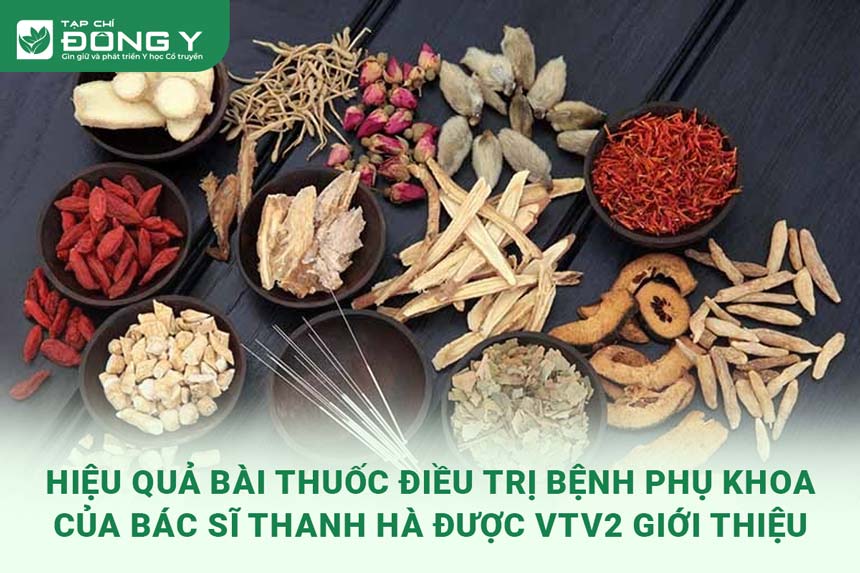 hieu-qua-bai-thuoc-dieu-tri-benh-phu-khoa-cua-bac-si-thanh-ha-duoc-vtv2-gioi-thieu