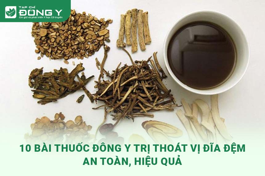 thuoc-dong-y-tri-thoat-vi-dia-dem