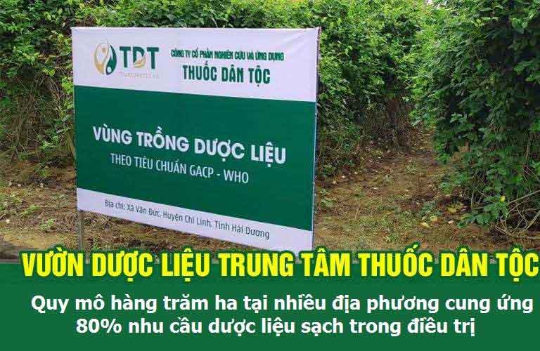 Trung tâm Thuốc dân tộc hiện sở hữu hàng trăm ha dược liệu chuẩn sạch GACP-WHO