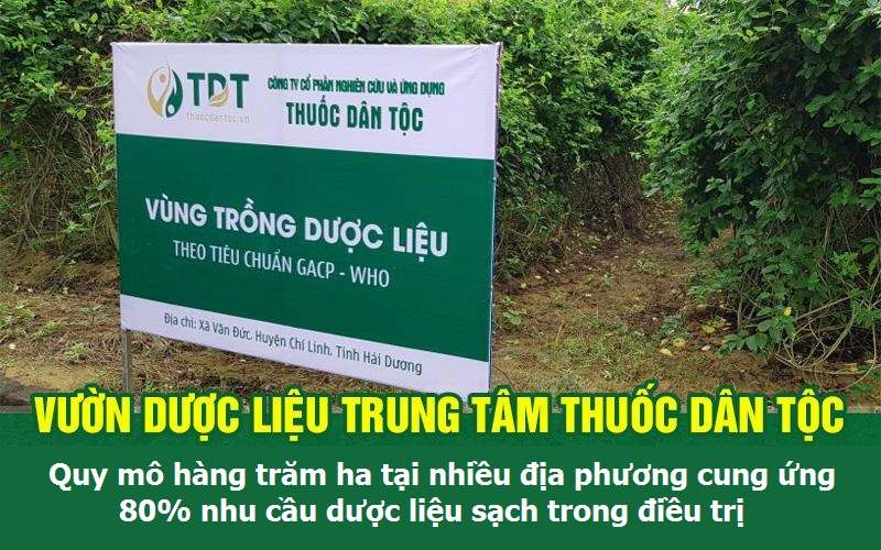 VTV2 giới thiệu vườn dược liệu của Trung tâm Thuốc dân tộc