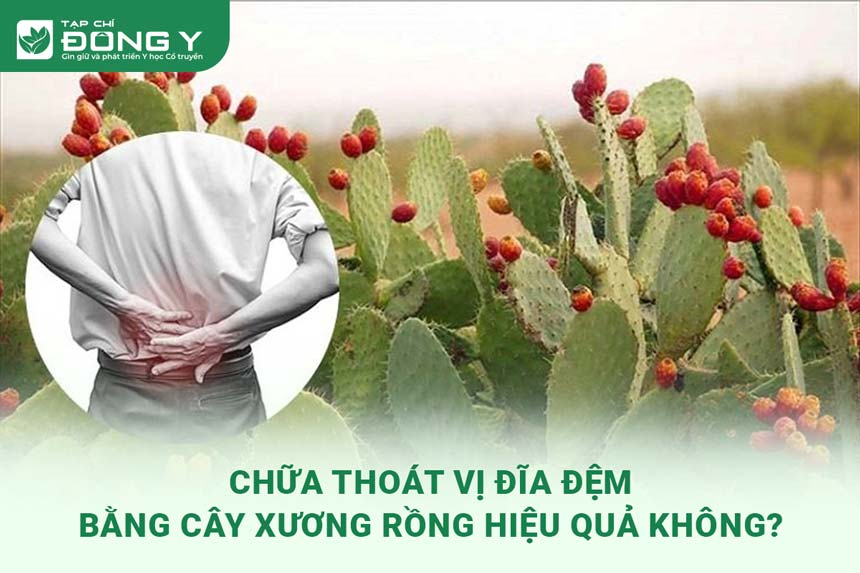 chua-thoat-vi-dia-dem-bang-cay-xuong-rong