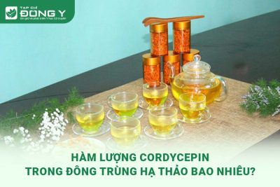 ham-luong-cordycepin-trong-dong-trung-ha-thao