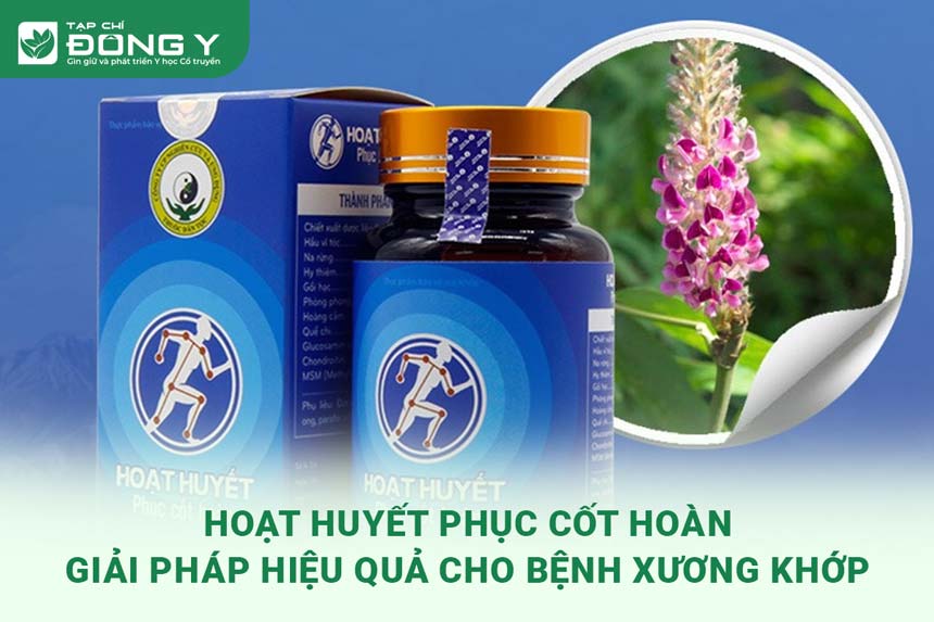 hoat-huyet-phuc-cot-hoan-giai-phap-hieu-qua-cho-benh-ly-xuong-khop