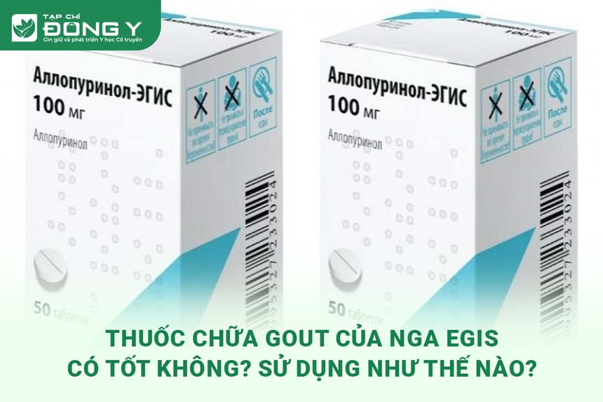 thuoc-chua-gout-cua-nga-egis