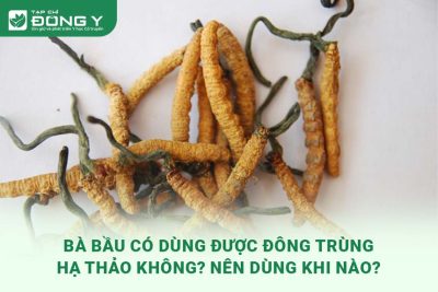 ba-bau-co-dung-duoc-dong-trung-ha-thao-khong