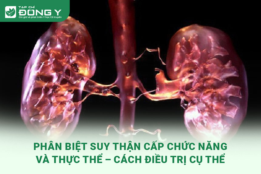 suy-than-cap-chuc-nang-va-thuc-the