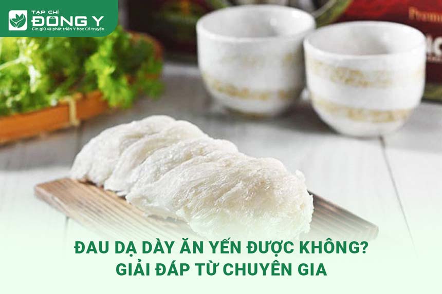 Đau Dạ Dày Ăn Yến Được Không? Lợi Ích Và Lưu Ý Quan Trọng Cần Biết