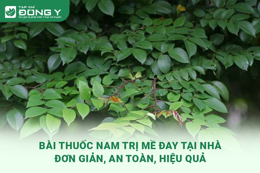 thuoc-nam-tri-me-day