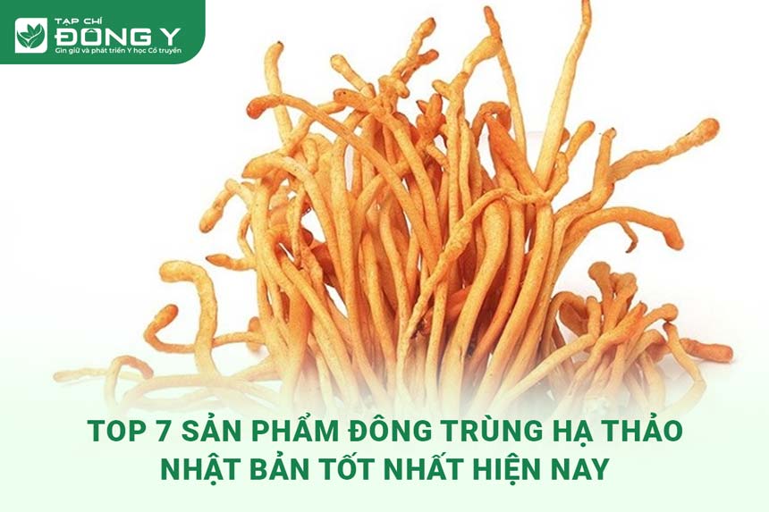 dong-trung-ha-thao-nhat-ban