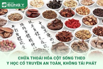 thoai-hoa-cot-song-theo-y-hoc-co-truyen