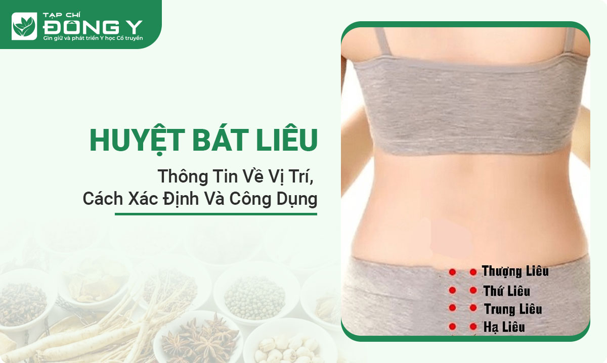 huyet-bat-lieu