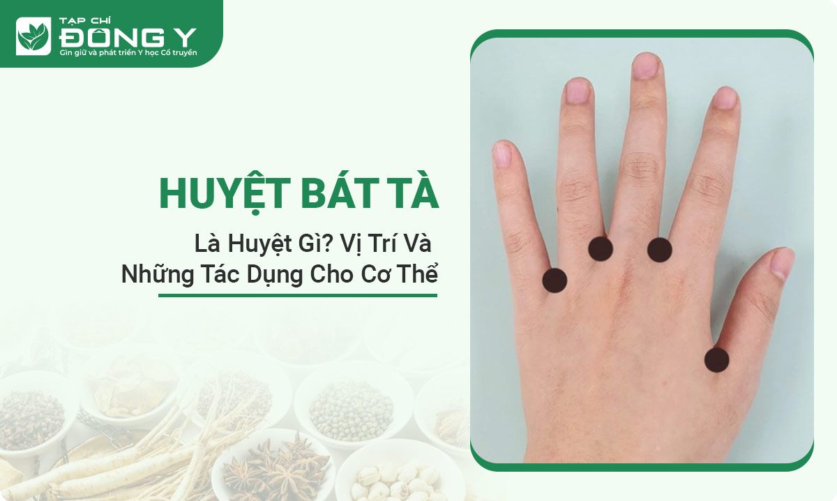 huyet-bat-ta