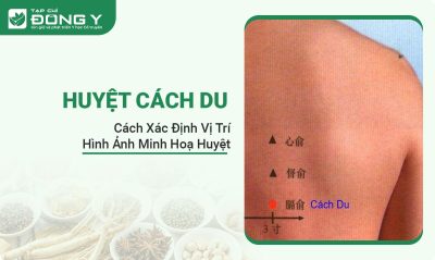 huyet-cach-du