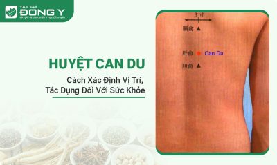 huyet-can-du