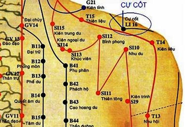 huyet-cu-cot