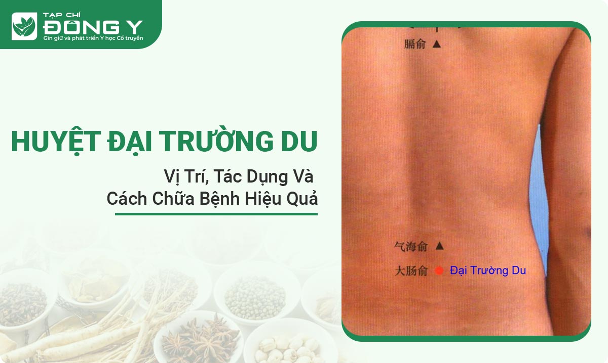 huyet-dai-truong-du