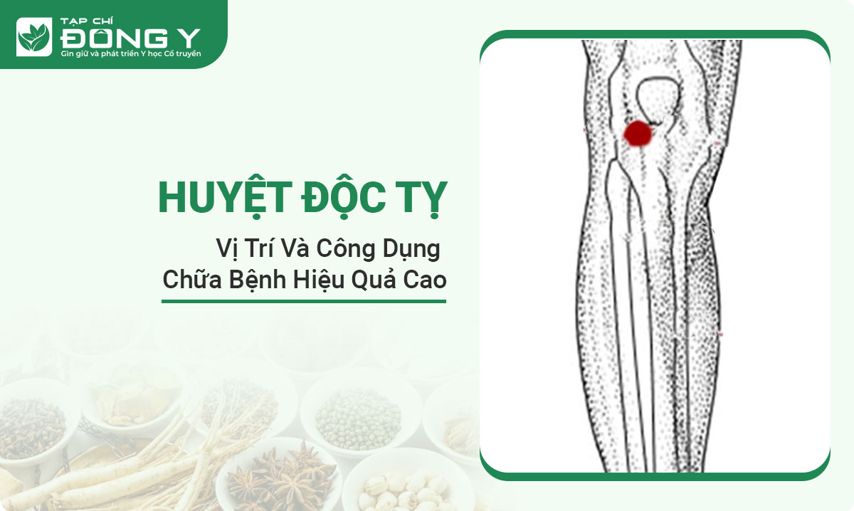 huyet-doc-ty