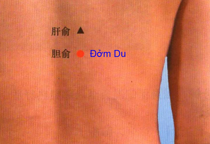 huyet-dom-du