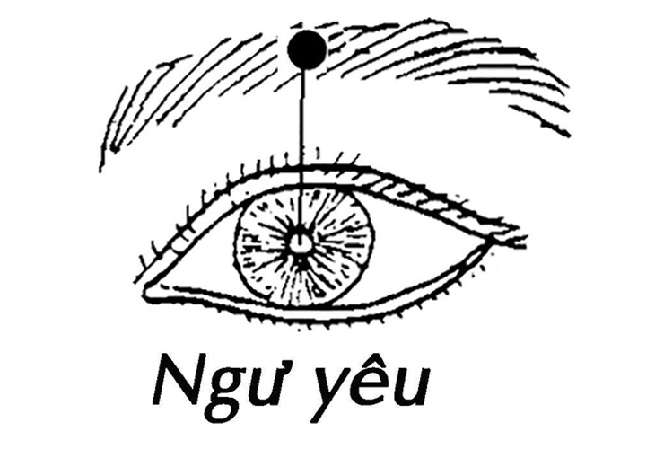 huyet-ngu-yeu