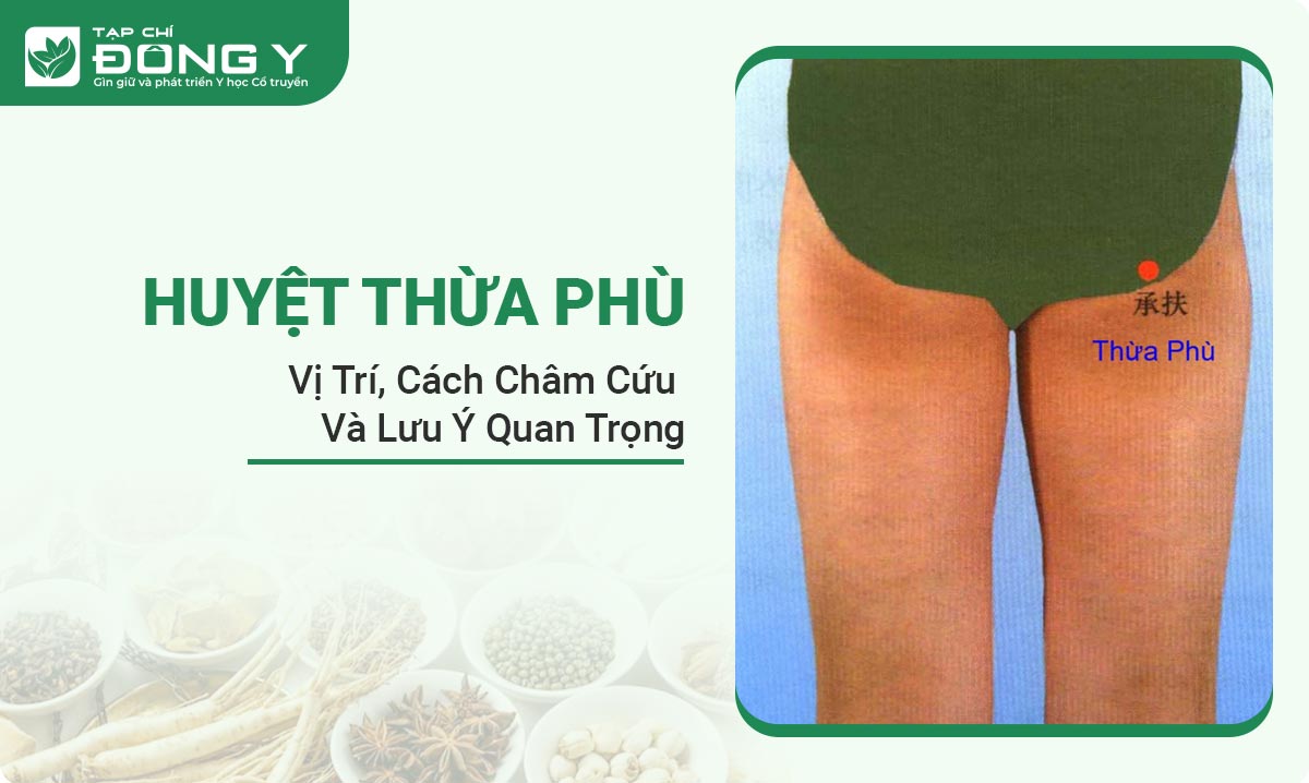 huyet-thua-phu