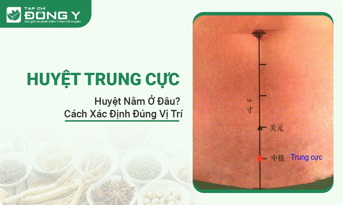 huyet-trung-cuc