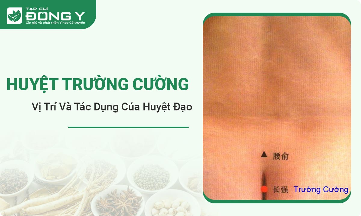 huyet-truong-cuong