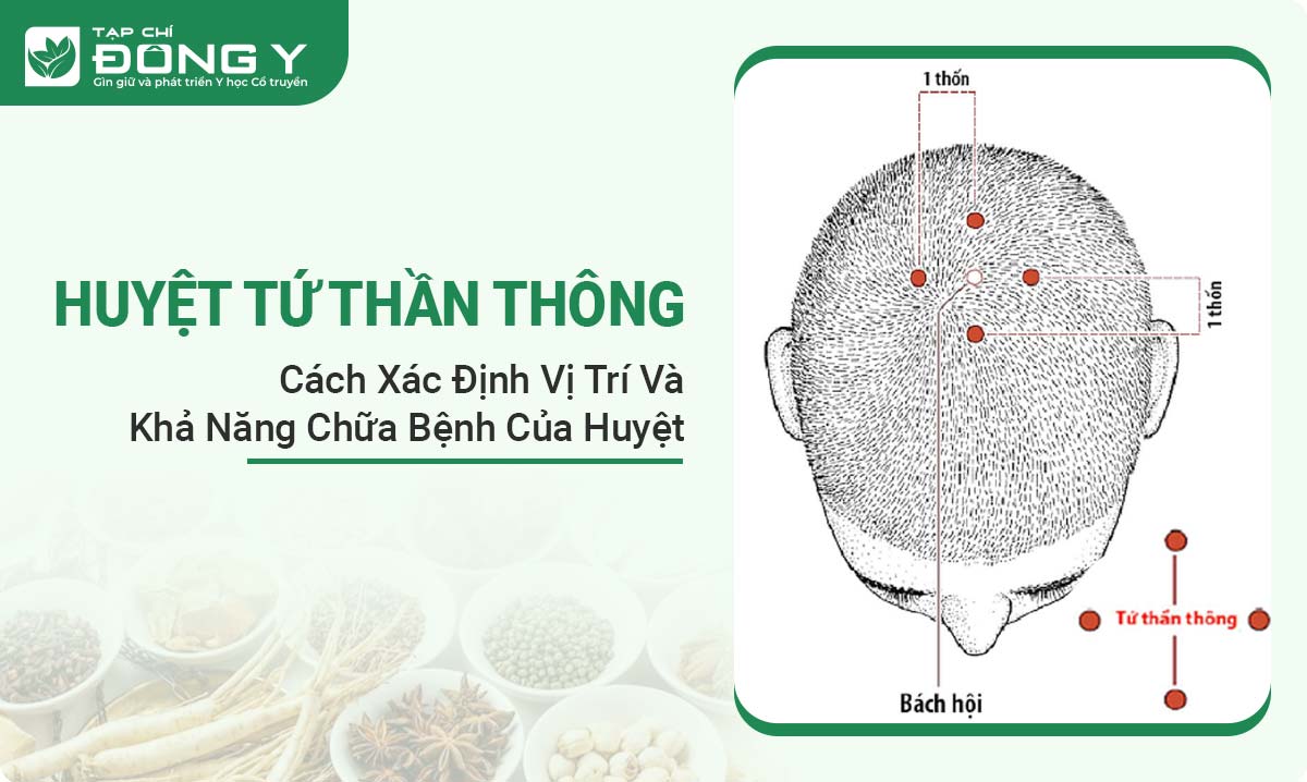 huyet-tu-than-thong