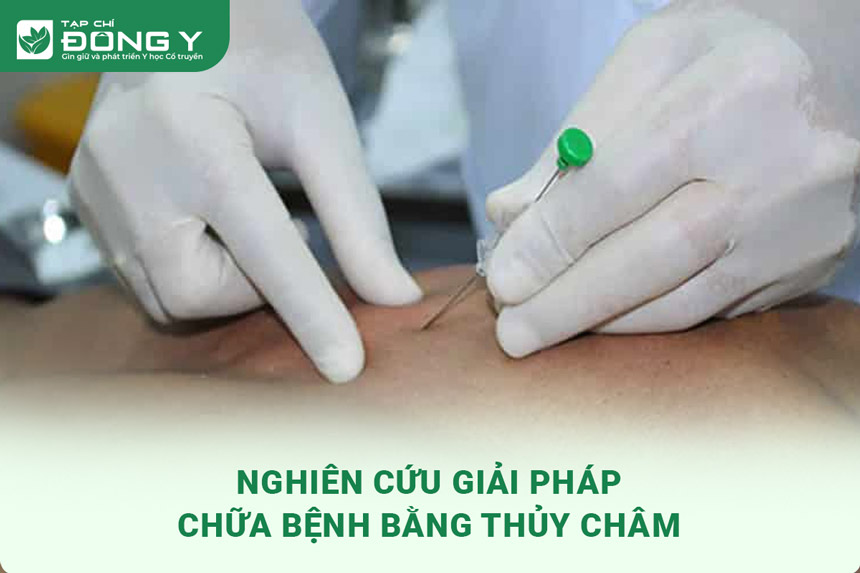 nghien-cuu-giai-phap-chua-benh-bang-thuy-cham