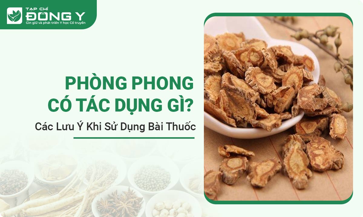 phong-phong-co-tac-dung-gi