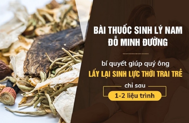 simh lý nam đỗ minh