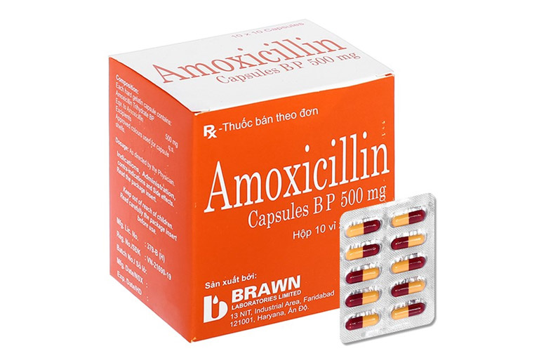 Thuốc Amoxicillin không có bằng chứng gây hại cho thai nhi