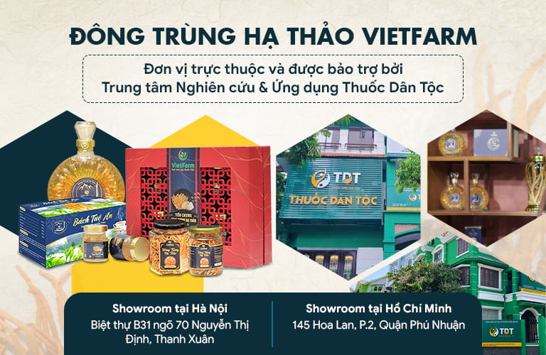 Đông trùng hạ thảo Vietfarm hoạt động trực thuộc Trung tâm Thuốc Dân Tộc