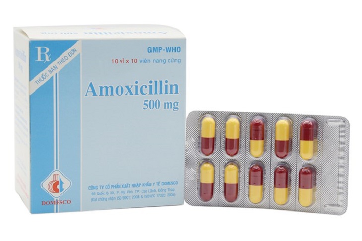 Amoxicilline là loại thuốc hỗ trợ điều trị vi khuẩn HP hiệu quả