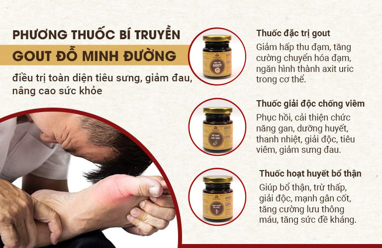 Hiệu quả từng loại thuốc của bài thuốc Gout Đỗ Minh 