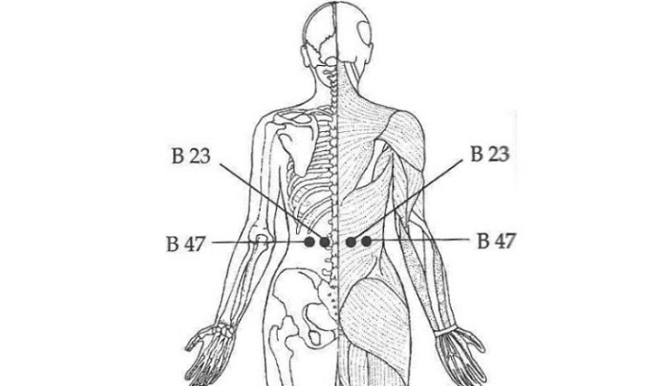 Bấm huyệt thắt lưng tốt cho nam giới bị rối loạn cương dương