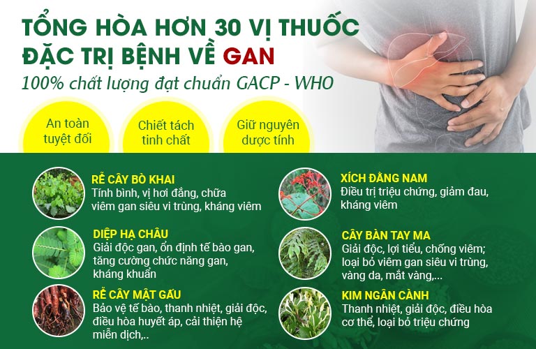 Bài thuốc được kết hợp tinh túy 30+ thượng dược hàng đầu về điều trị bệnh gan